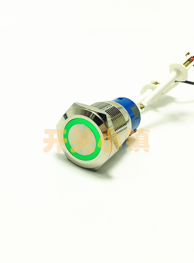 PX 19MM金属按钮开关 自锁防水按键 12V绿色天使眼 车灯改装开关