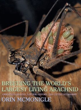 【预售】Breeding the World's Largest Living Arachnid: ...