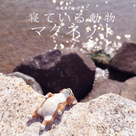 收藏版超级萌有创意做工冰箱磁贴