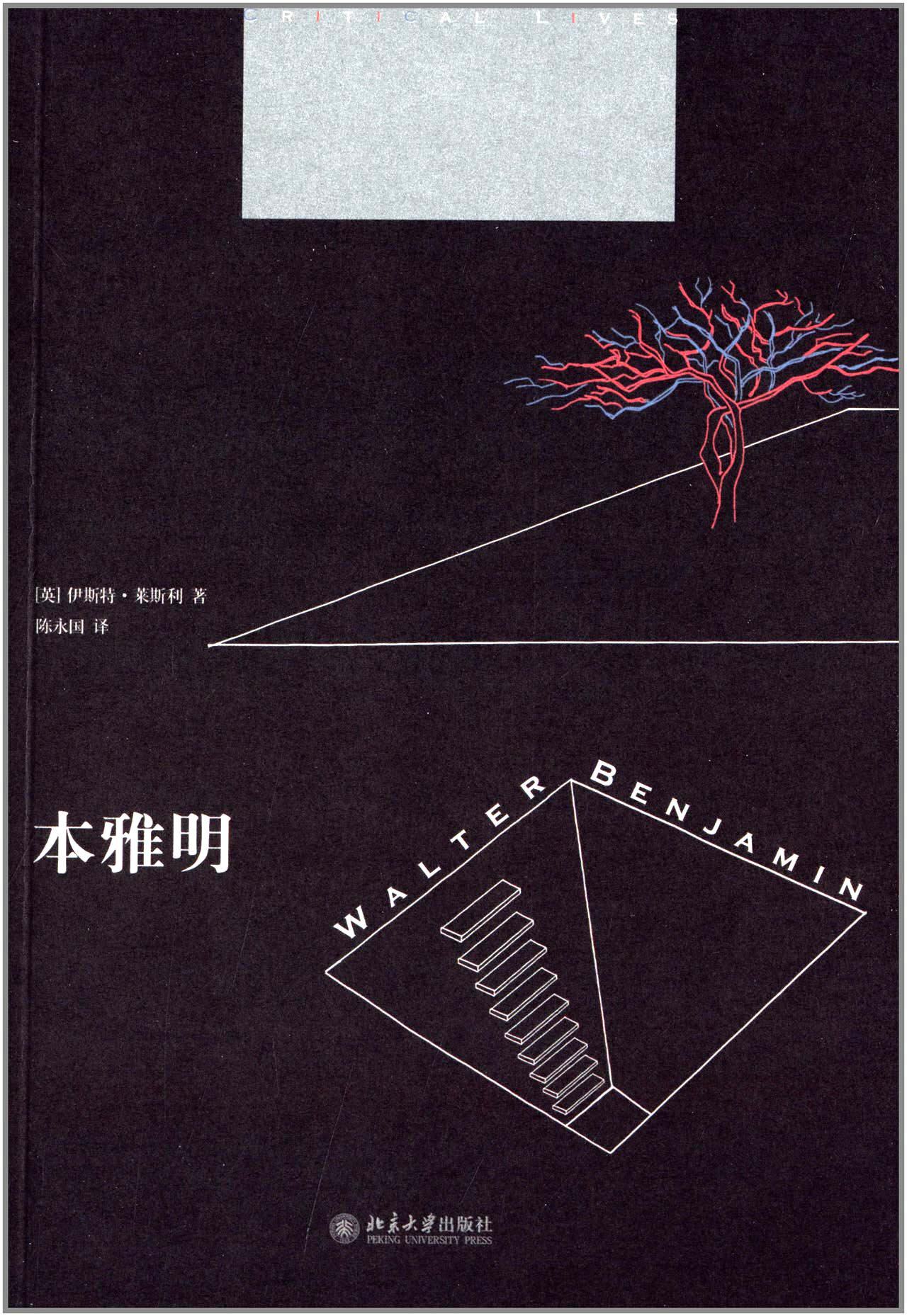 本雅明     伊斯特·莱斯利 (leslie e.)    北大出版社