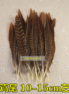 DIY配件野鸡毛/锦鸡毛/锦鸡单支尾/羽毛手工饰品配件 10-15CM