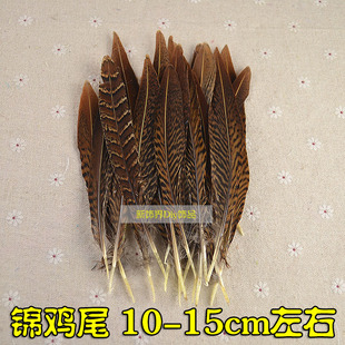 DIY配件野鸡毛/锦鸡毛/锦鸡单支尾/羽毛手工饰品配件 10-15CM