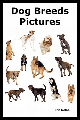 美国库房发货，通常付款后5-8周到货！