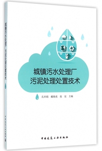 室内设计书籍入门自学土木工程设计建筑材料鲁班书毕业作品设计bim书籍专业技术人员继续教育书 城镇污水处理厂污泥处理处置技术