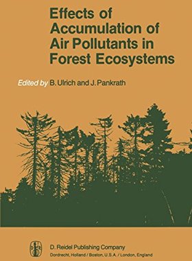 【预订】Effects of Accumulation of Air Pollu...