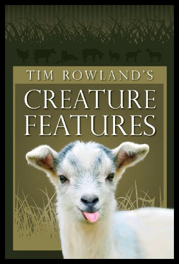 美国库房发货，通常付款后5-8周到货！