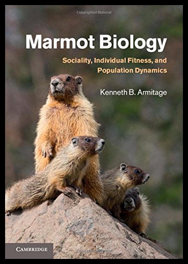 美国库房发货，通常付款后5-8周到货！