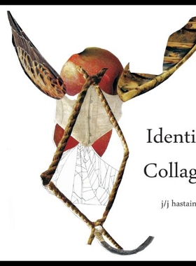 【预售】Identity Collages