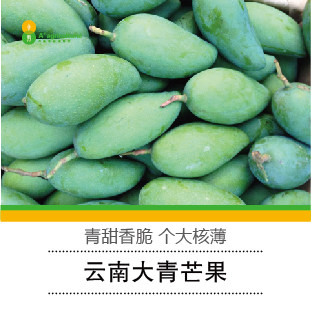 一斤云南酸脆芒果新鲜水果青芒象牙芒生吃芒三年芒酸骂木送辣子面