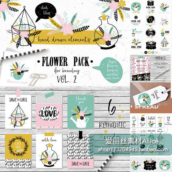 [177]卡通插画风格花朵仙人掌盆栽卡片手绘PNG+AI矢量设计素材