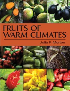Warm Fruits Climates 预售