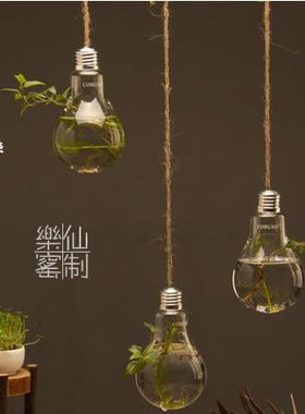 悬挂玻璃花瓶灯泡花瓶多肉植物