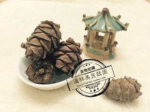 【逼林家】松塔 马尾松塔小松塔 松鼠粮食 飞鼠食物