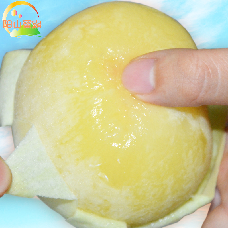 陽山蜜露_5兩左右6個陽山水蜜桃 無錫特産 新鮮水果桃子禮盒裝在類目 水產肉類/新鮮蔬果/熟食, 新鮮水果, 桃中 - 來自Buy2taobao.com提供專業的淘寶代購服務