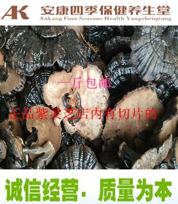 紫灵芝中药材一斤包邮
