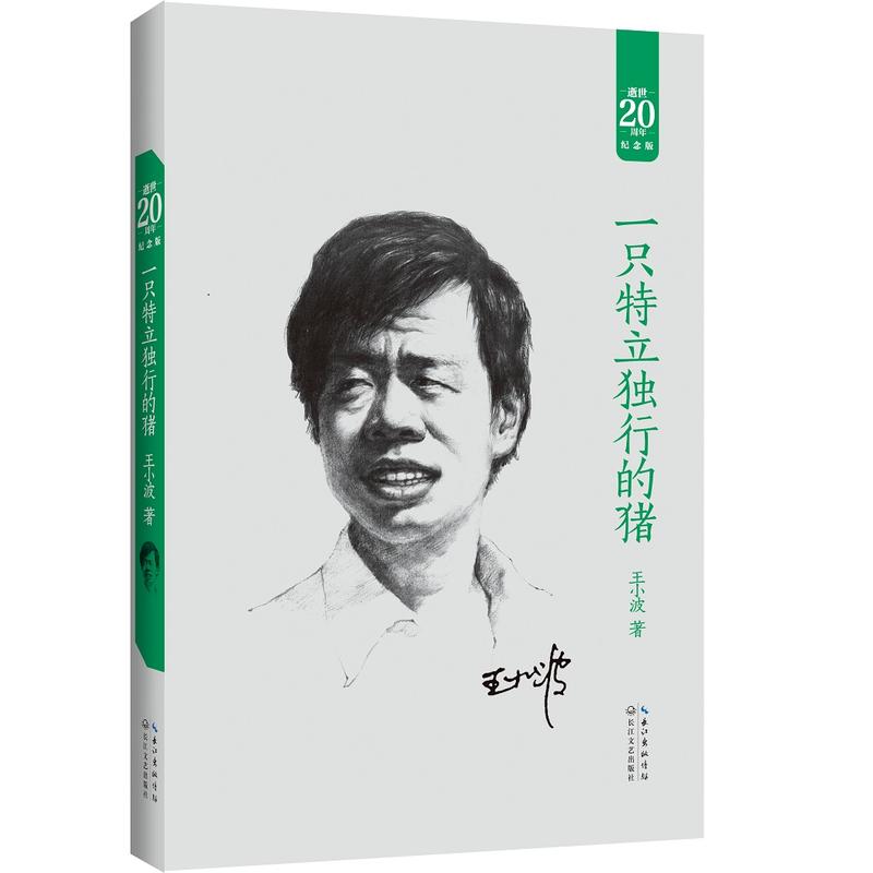 【當當網 正版書籍】一只特立獨行的豬:王小波經典作品集(20周年紀念版)