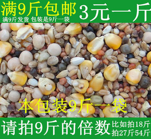 有玉米A级营养鸽粮鸽子赛鸽信鸽观赏鸽 500克幼鸽饲料鸟粮食用品