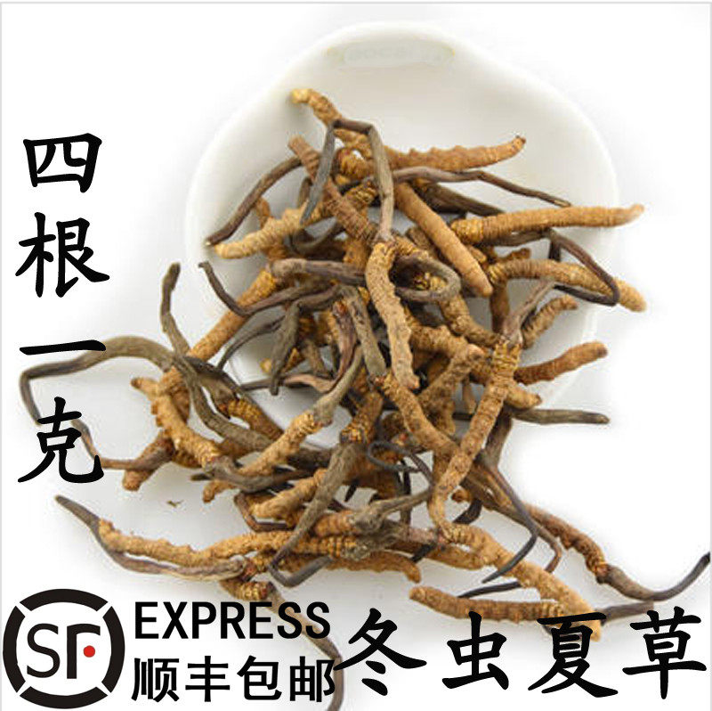 优质中药材冬虫夏草4根1克 虫草 冬虫草 中华虫草1克包邮