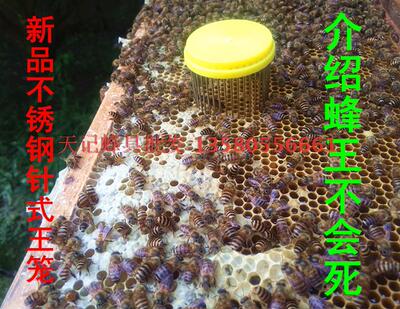 养蜂工具 不锈钢王笼 囚蜂王针式王笼 囚王工具蜂具 中意蜂两用