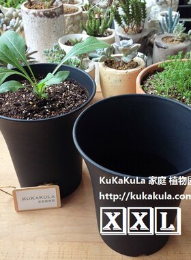 家庭园艺花盆－圆形加厚万象盆－黑色－特大号－透气束腰多肉花盆
