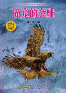 撞笼的金雕 儿童读物 新华书店正版畅销图书籍 沈石溪