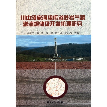 川中须家河组低渗砂岩气藏渗流规律及开发机理研究 高树生 等 石油工业出版社 9787502183721 书籍/杂志/报纸 其它科学技术 原图主图