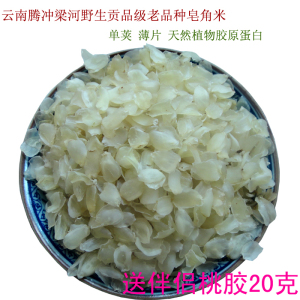 云南腾冲老品种糯皂角米皂荚雪莲子单荚散装80克送桃胶买2份包邮