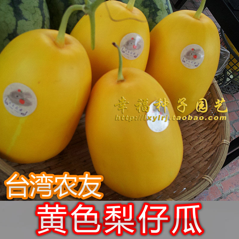 台湾百年传统【黄色梨仔香瓜种子】黄色甜瓜种子 黄皮瓜 容易种植