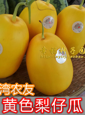台湾百年传统香瓜黄皮容易种子