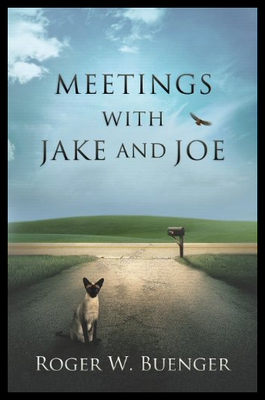 【预售】Meetings with Jake and Joe
