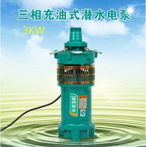 水泵QY40-16-3L型充油式潜水泵油浸泵抽水泵循环泵喷灌溉水泵