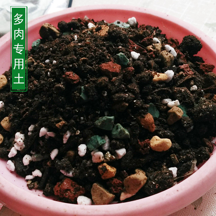 多肉換盆葉片扡插顆粒型營養土肉肉栽培土仙人球蘆荟多漿植物泥土在類目 鮮花速遞/花卉仿真/綠植園藝, 園藝用品, 家庭園藝肥料/營養土/營養液中 - 來自Buy2taobao.com提供專業的淘寶代購服務