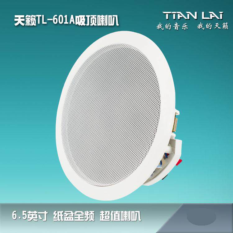 天籁 TL-601A 背景音乐吸顶音箱 定阻 控制器音箱 天花吊顶喇叭