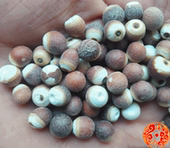 包邮 野生芡实米红皮芡实鸡头米完整真正500g两份 芡实 中药材