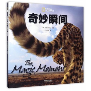 【正版包邮】奇妙瞬间(精)