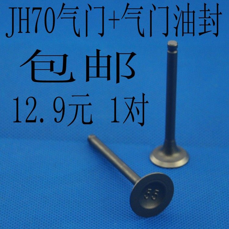 包邮 摩托车嘉陵70气门 油封 48Q JH70 90 DY100 110 弯梁车气门