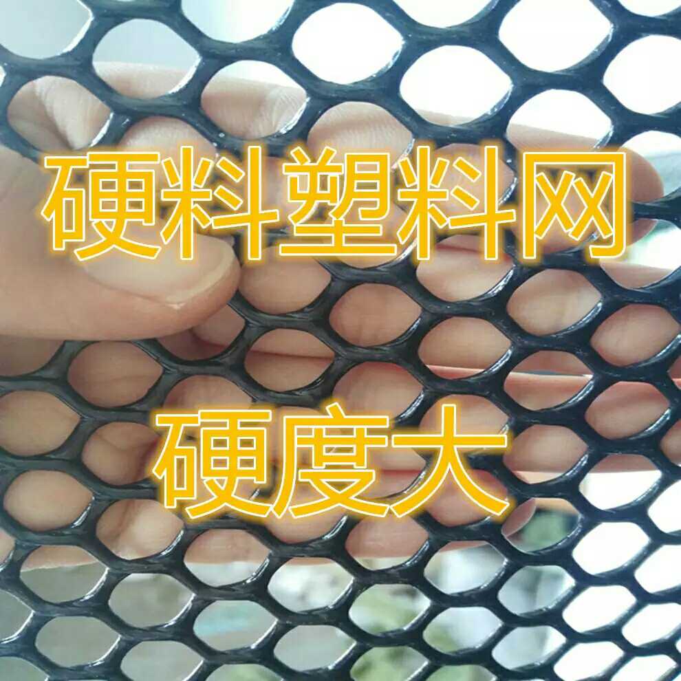 塑料网养鸡鸭鹅专用 宠物脚垫育雏网种花阳台防掉东西安全网