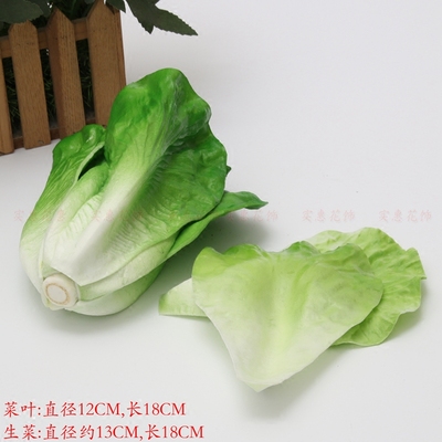 仿真生菜厨房装饰拍照道具小摆件