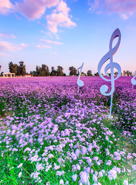鲜花花朵海报 薰衣草向日葵郁金香花朵自然田园风景装饰画j3525b