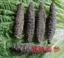 北极海参大西洋野生海参干货加拿大海参进口海参深水海参建栋海参