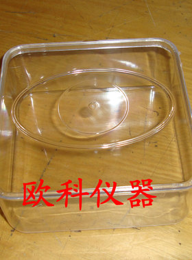 发芽盒12*12*5塑料透明仪器种子