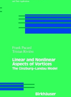 【预售】Linear and Nonlinear Aspects of Vortices: The ...