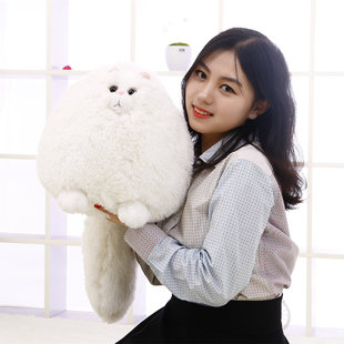 波斯猫咪公仔大尾巴毛绒玩具娃娃呆萌毛茸茸可爱创意女友生日礼物