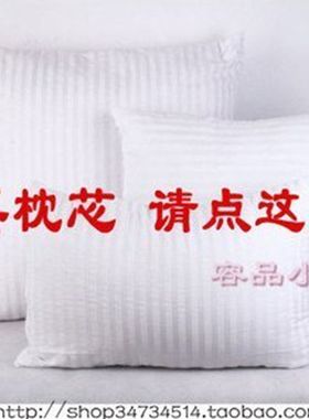 特价优质53x3245x4560X6070x70带拉链饱满沙发腰枕靠垫芯抱枕芯
