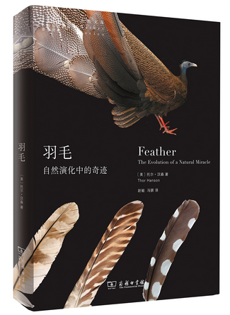 羽毛:自然演化中的奇跡 托爾·漢森 趙敏 馮騏 商務印書館 自然文庫羽毛被用來飛翔 保護 吸引 裝飾 古生物學家 鳥類學家 生物學