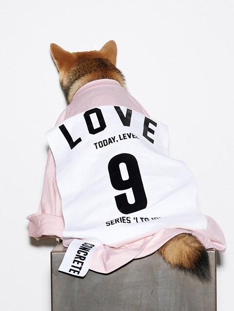 韩国代购正品男女款STUDIO CONCRETE设计师品牌数字贴布T恤在类目 男装, T恤中 - 来自Buy2taobao.com提供专业的淘宝代购服务