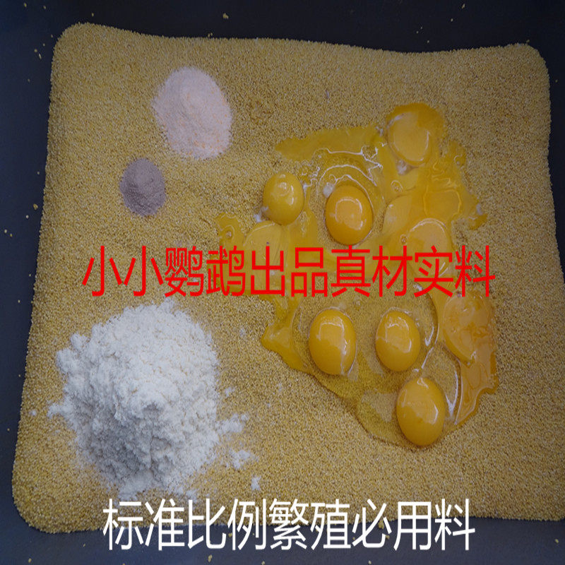 鸡蛋蛋黄繁殖蛋小米饲料