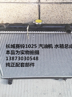 汽车水箱长城赛铃欧拉五十铃D1522宝典黄海旗胜傲龙散热器 冷凝器