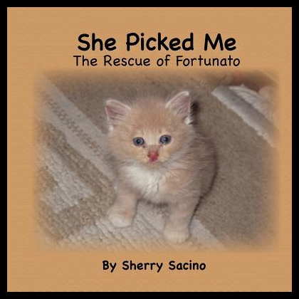 美国库房发货，通常付款后5-8周到货！