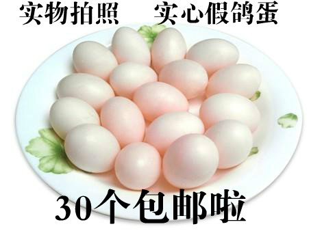 鸽子假蛋注水实心用品孵卵